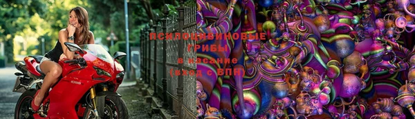 меф Алзамай