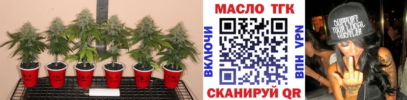 Дистиллят ТГК Wax  купить  сайты  Ядрин 